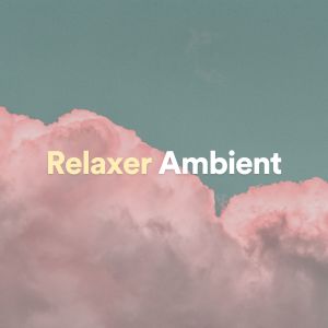 อัลบัม Relaxer Ambient ศิลปิน Lullabies for Deep Meditation