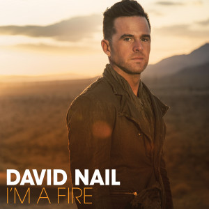 收聽David Nail的Broke My Heart (Album Version)歌詞歌曲