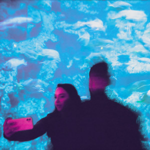 收聽Absofacto的Someone Else’s Dream歌詞歌曲