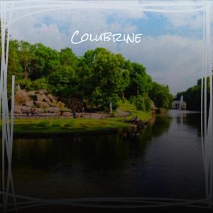 Album Colubrine from Various
