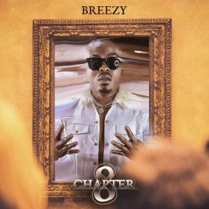 Dengarkan lagu More Than Enough (Explicit) nyanyian Breezy dengan lirik