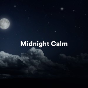 อัลบัม Midnight Calm ศิลปิน Meditation & Focus Workshop
