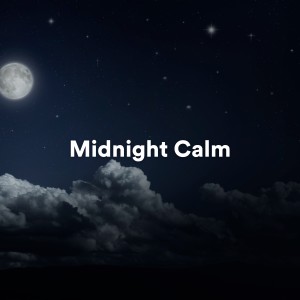 Meditation and Relaxation的专辑Midnight Calm