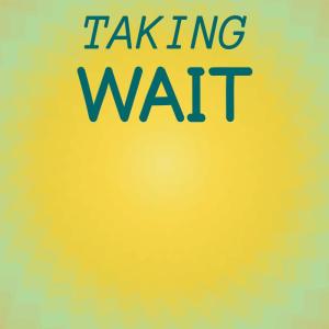 Various Artists的專輯Taking Wait