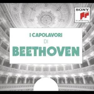 ดาวน์โหลดและฟังเพลง Symphony No. 9 in D Minor, Op. 125 "Choral": III. Adagio molto e cantabile - Andante moderato พร้อมเนื้อเพลงจาก Zubin Mehta