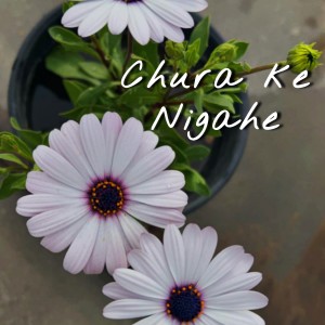 Listen to Chura ke Nigahe song with lyrics from Tanveer Ghazi