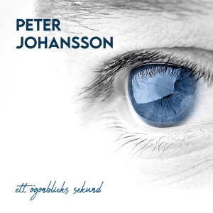 Peter Johansson的專輯Ett ögonblicks sekund
