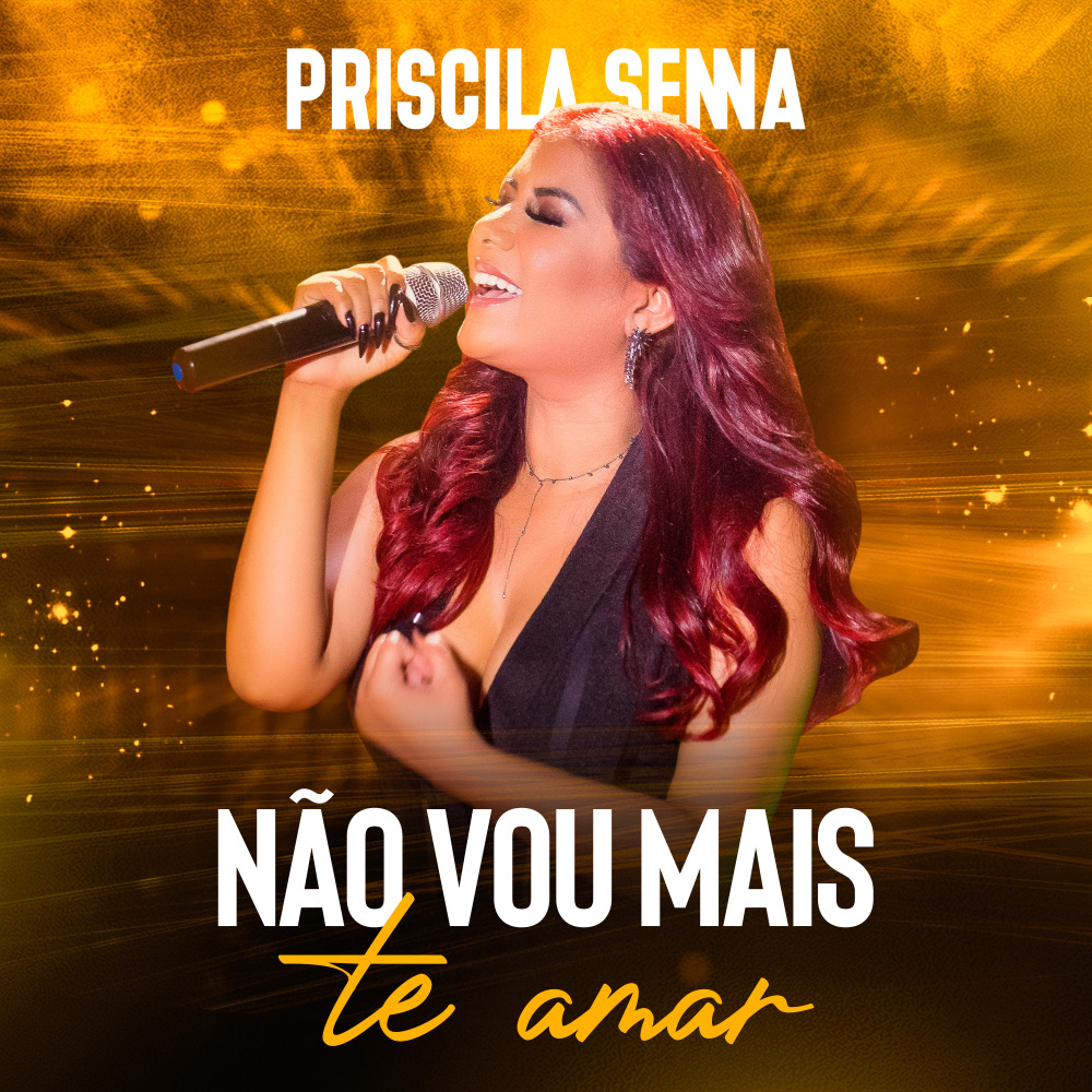 Não Vou Mais Te Amar