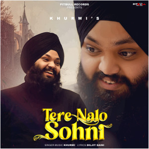 Album TERE NALO SOHNI from 