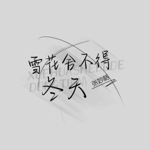 Album 雪花舍不得冬天 from 张妙格