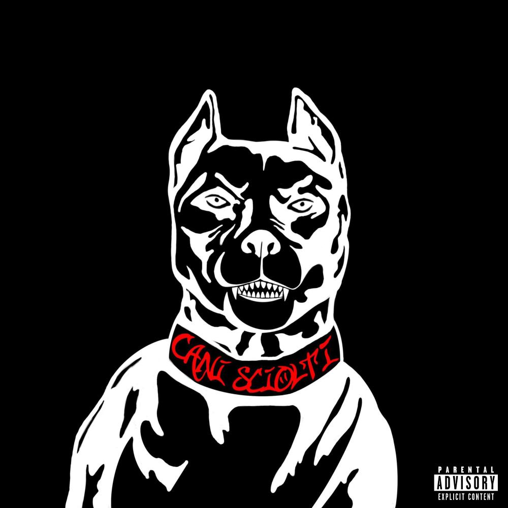 CANI SCIOLTI (Explicit)