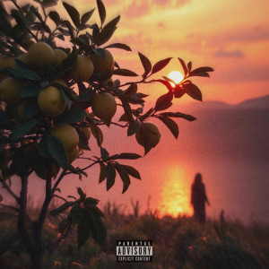 Album Lemon Tree (Explicit) from DOUBLE ONTENDRE