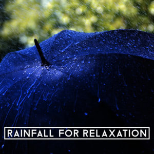 收聽Rain for Deep Sleep的Raindrops歌詞歌曲
