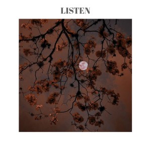 Dengarkan Love Me lagu dari Shiloh Dynasty dengan lirik