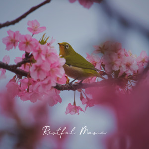 Restful Music (Discover Inner Peace, Yoga Perfect Theraphy, Yoga with Birdies and Crickets, Blissful Relax)
