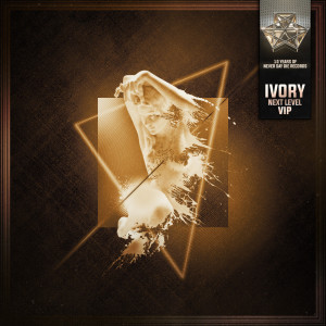 Listen to Next Level (VIP) song with lyrics from Ivory