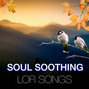 Iwan Fals & Various Artists的專輯Soul Soothing Lofi Songs