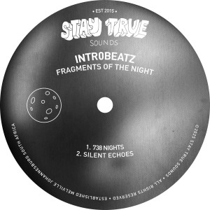 Intr0beatz的專輯Fragments of the Night