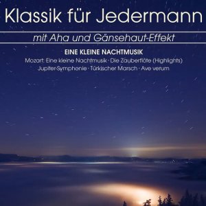 收聽Wiener Mozart Ensemble的Piano Concerto No. 21 in C Major, K. 467: II. Andante歌詞歌曲