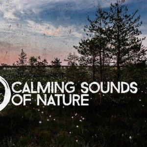 Calming Sounds of Nature
