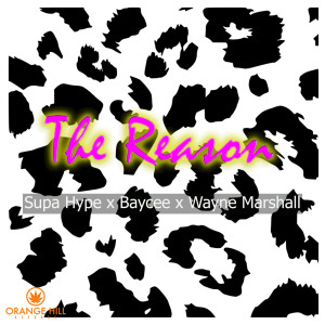 Listen to The Reason (Explicit) song with lyrics from Supa Hype