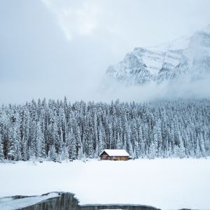 Album #May 2020 Gorgeous Melodies for Stress Relief oleh Study Music & Sounds