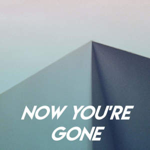 Dengarkan lagu Now You're Gone nyanyian CDM Project dengan lirik