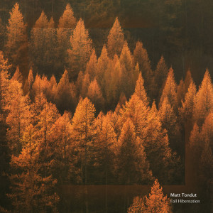 Listen to Fall Hibernation song with lyrics from Matt Tondut