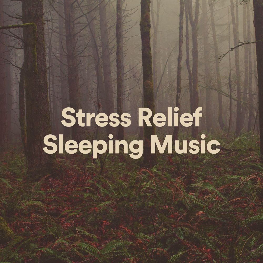 Immaculately Sounds