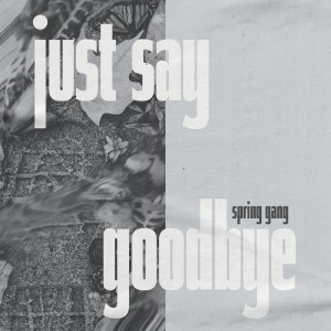 Listen to Just Say Goodbye song with lyrics from spring gang