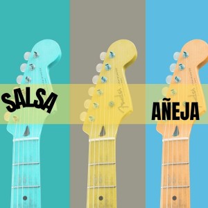 Dengarkan Hechizo de Luna lagu dari Edgar Joel dengan lirik