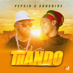 Album Thando from Pepsin