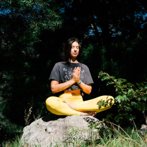 อัลบัม Zen Meditation: Music for Mindful Calm ศิลปิน orbital voices