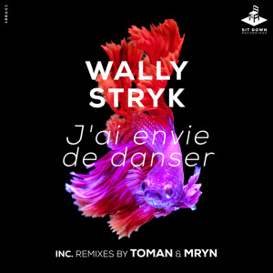 Album J'ai envi de danser from Wally Stryk