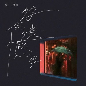 Listen to 你会遗憾吗 (完整版) song with lyrics from 赵乃吉