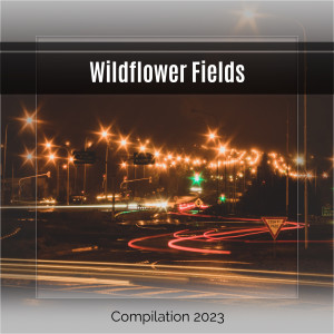 Various的專輯Wildflower Fields