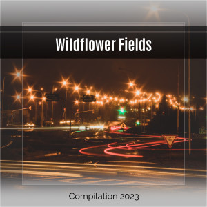 Various Artists的專輯Wildflower Fields