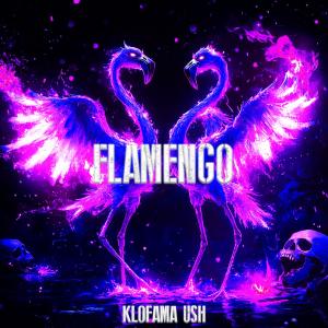 KLOFAMA的專輯FLAMENGO