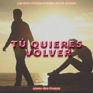 ดาวน์โหลดและฟังเพลง Tú Quieres Volver (feat. Luiyi Ross, Erickson El Muñeco De Oro & El Bubel) พร้อมเนื้อเพลงจาก FrekuraMusical