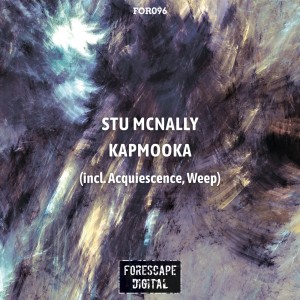 Listen to Acquiescence song with lyrics from Stu McNally