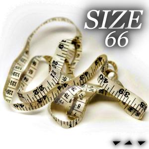 Album Size 66 (Explicit) from Masicka