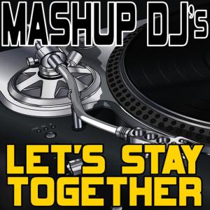 收聽Mashup DJ's的Let’s Stay Together (Re-Mix Tool)歌詞歌曲