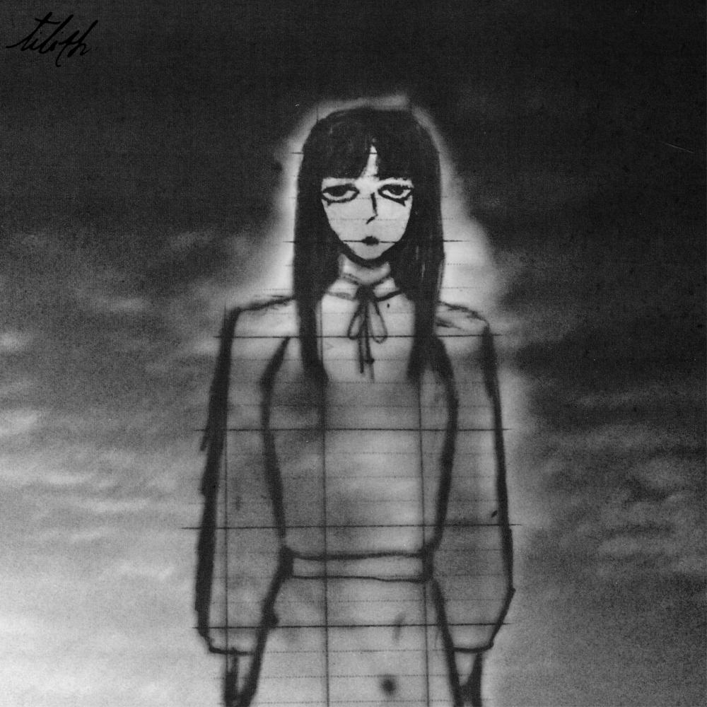 fragmented lily