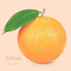 Album Citrus from 