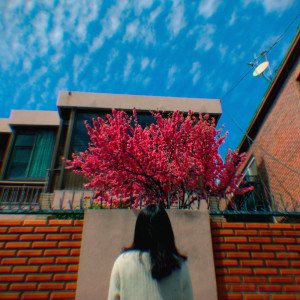 收聽SORAE的This Day (with AHYUN)歌詞歌曲
