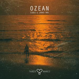 Listen to Ozean (eSBee & Janko RMX) song with lyrics from TAREK MAREI