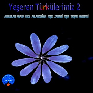 Listen to Her Yanım Bir Dert Anam Uzun Hava song with lyrics from Abdullah Papur