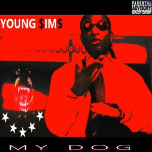 Listen to NEVER GONE CHANGE (Explicit) song with lyrics from Young Sîms
