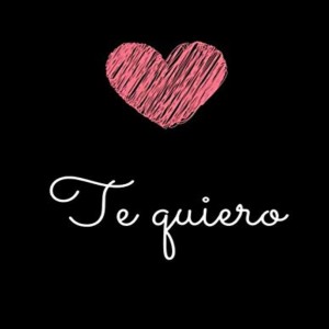 Listen to Te Quiero song with lyrics from DJ Tik Tok