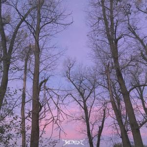 收听Weirenz的crystall歌词歌曲